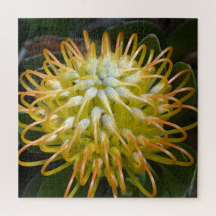Yellow Exotic Flower Pincushion Protea Jigsaw Puzzle