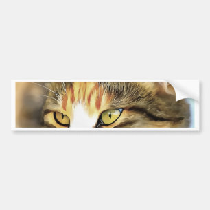 Yellow Eyed Calico Cat Realistic Pet Portrait Bumper Sticker