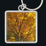 Yellow Fall Foliage Keychain<br><div class="desc">A maple tree blazes a golden yellow in the autumn sun in this pic snapped by Richard H. Fay.</div>