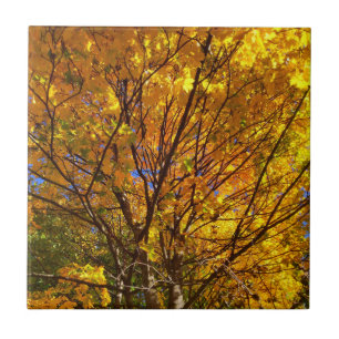 Yellow Fall Foliage Tile