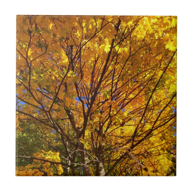Yellow Fall Foliage Tile (Front)