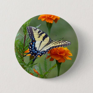 Yellow female Eastern Tiger Swallowtail 2 Inch Round Button