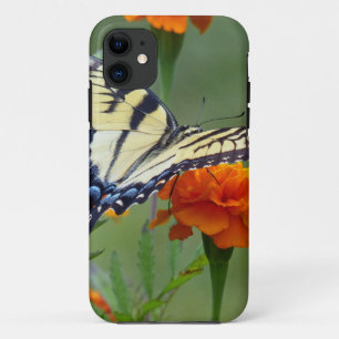 Yellow female Eastern Tiger Swallowtail iPhone 11 Case