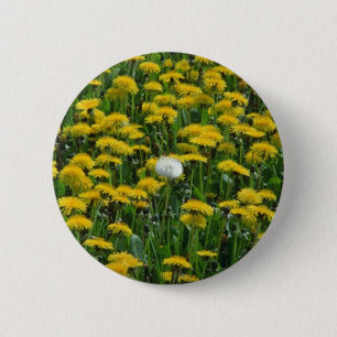 Yellow Field of dandelions in the Netherlands flow 2 Inch Round Button