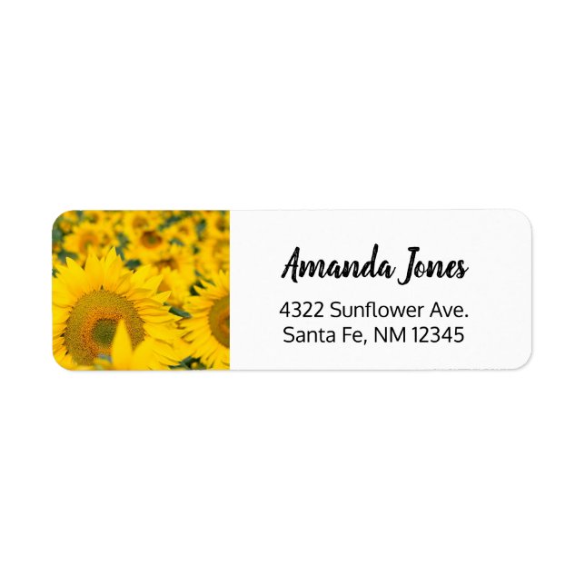 Yellow Field of Sunflowers Photograph (Front)