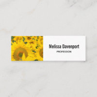 Yellow Field of Sunflowers Photograph