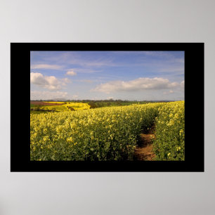 Yellow Field. Poster by cARTerART