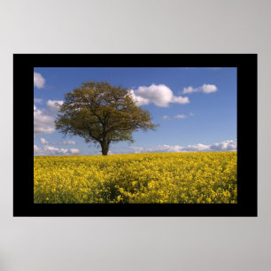 Yellow Fields Poster