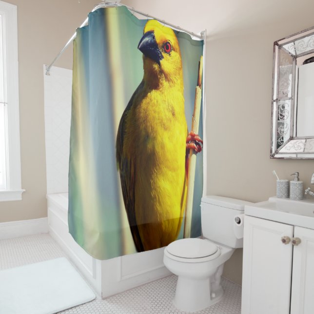 Yellow Finch (In Situ)