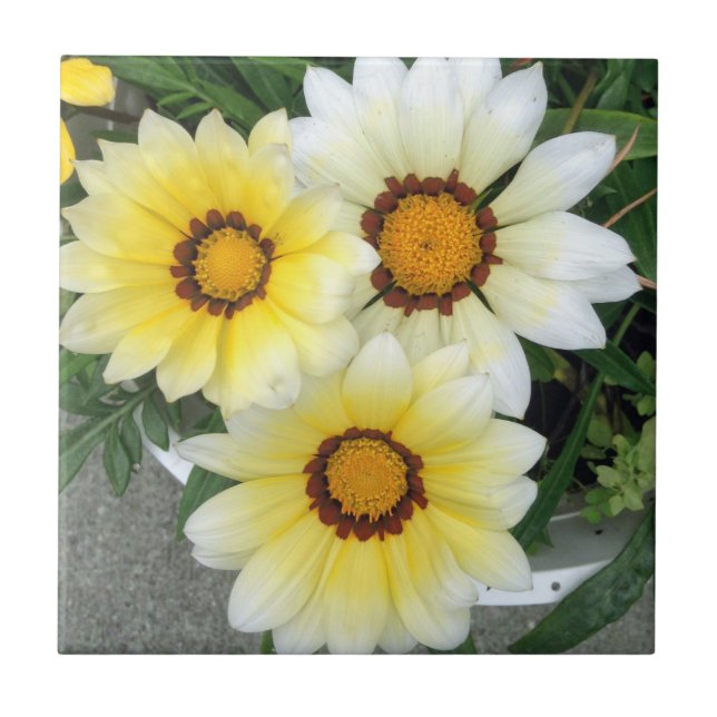 Yellow Floral Photography Tile (Front)