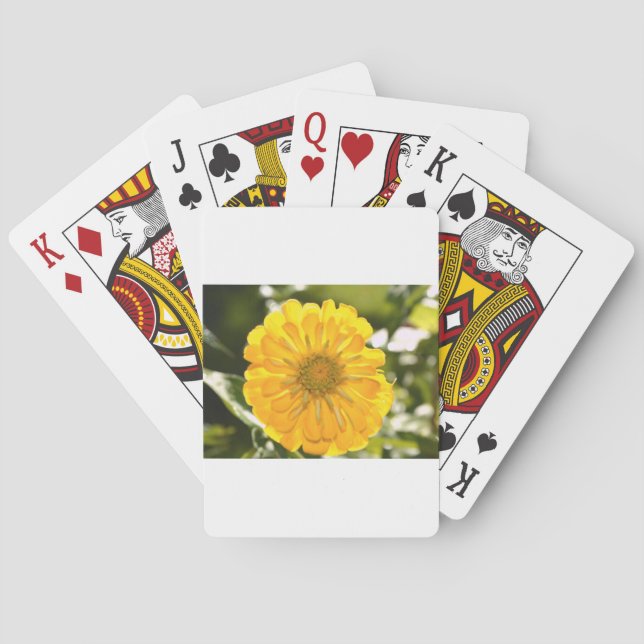 Yellow floral yellow flower yellow daisy playing cards (Back)