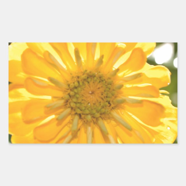 Yellow floral yellow flower yellow daisy sticker (Front)