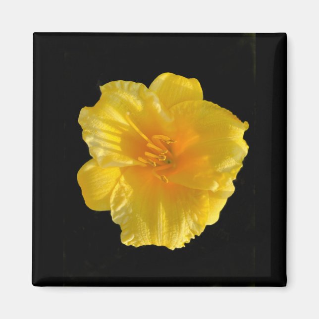 Yellow Flower 2 Inch Square Magnet (Front)