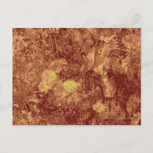 Yellow flower against leaf camouflage pattern postcard (Front)