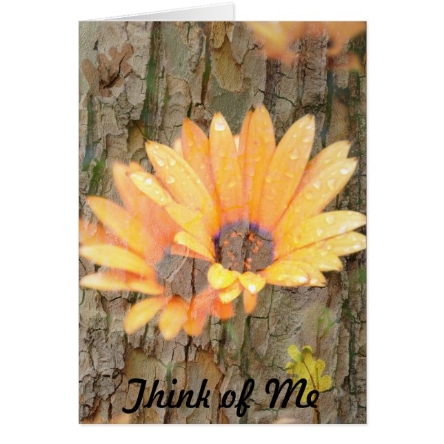 Yellow Flower Bark Think of Me (Front)