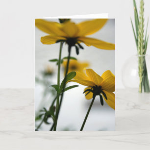 Yellow Flower Bidens Don't turn away GC Card