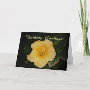 Yellow Flower Birthday Greeting Card