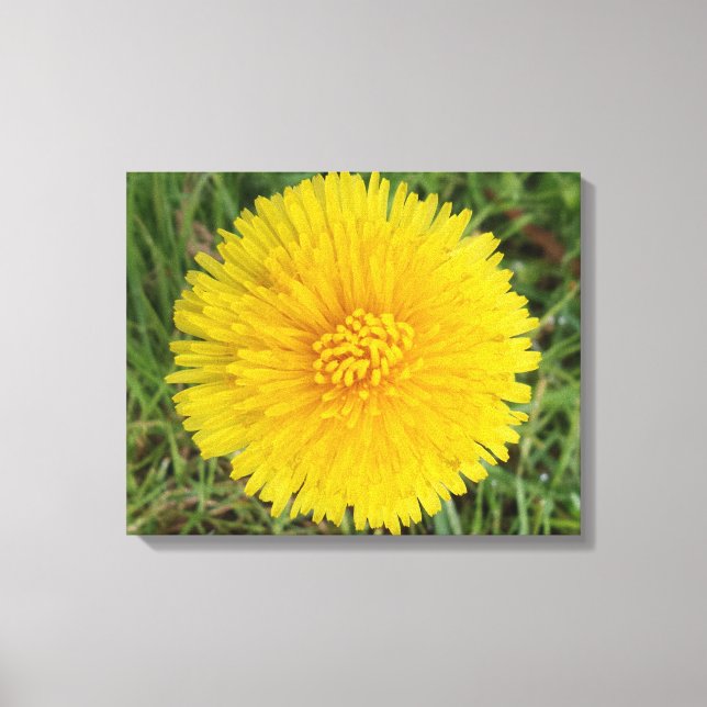 Yellow Flower Canvas Print (Front)