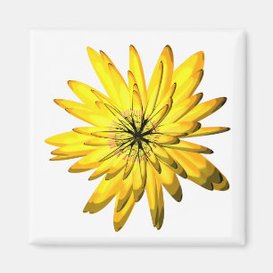 yellow flower magnet