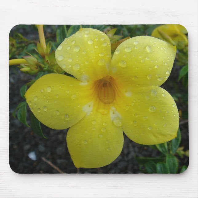 Yellow flower mouse pad (Front)
