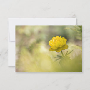 Yellow Flower Nature Photo Card