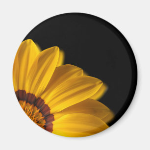 Yellow flower on black background magnet