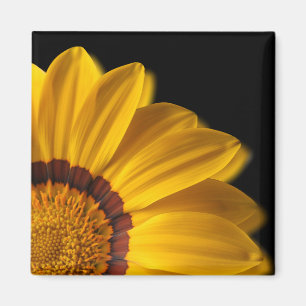Yellow flower on black background magnet