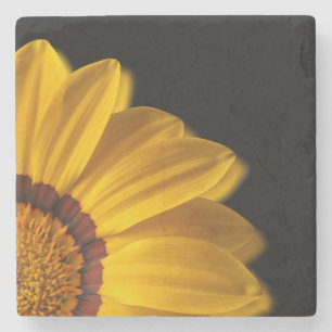 Yellow flower on  black background stone coaster