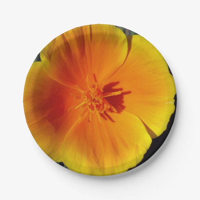 Yellow Flower Photo  Paper Plates 7 in (Front)