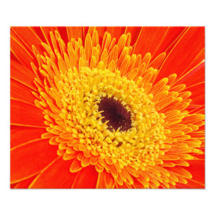 Yellow flower photo print