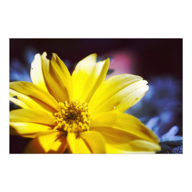 Yellow Flower Photo Print (Front)