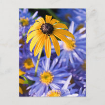 Yellow Flower