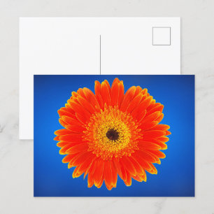 Yellow flower postcard