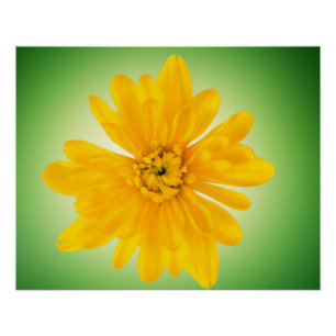 Yellow flower poster