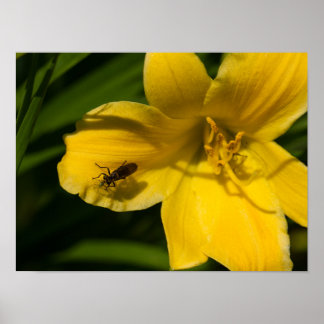 Yellow Flower Poster Paper (Matte)