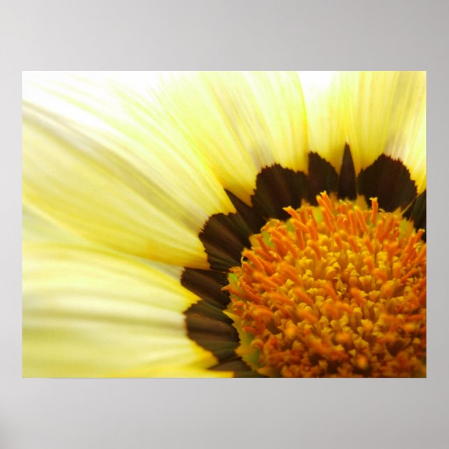 Yellow Flower Print (Front)