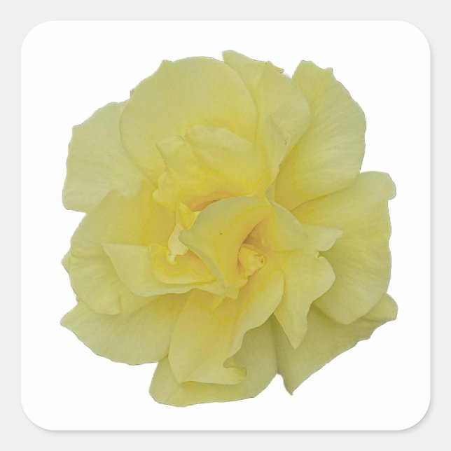 Yellow Flower Stickers (Front)