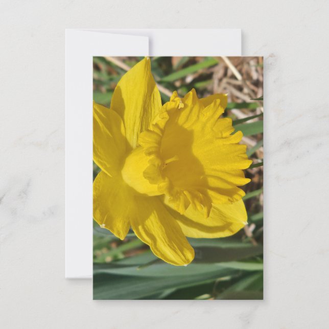 Yellow flower thank you card (Front)