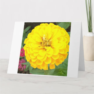 Yellow Flower Write it Yourself card