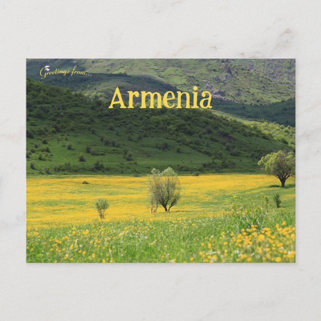 Yellow Flowers and Mountainside Armenia Postcard (Front)