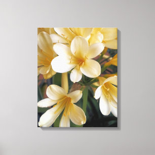 YELLOW FLOWERS CANVAS PRINT
