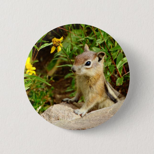 Yellow Flowers Chipmunk 2 Inch Round Button (Front)