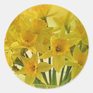 Yellow Flowers Classic Round Sticker