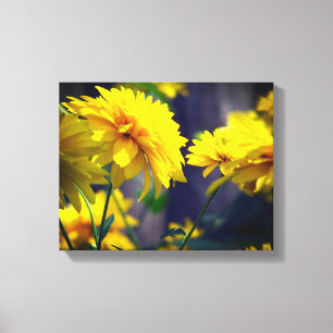 Yellow Flowers In Sunshine Canvas Print