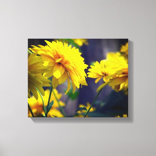 Yellow Flowers In Sunshine  Canvas Print (Front)