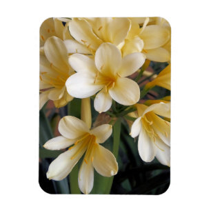 YELLOW FLOWERS MAGNET