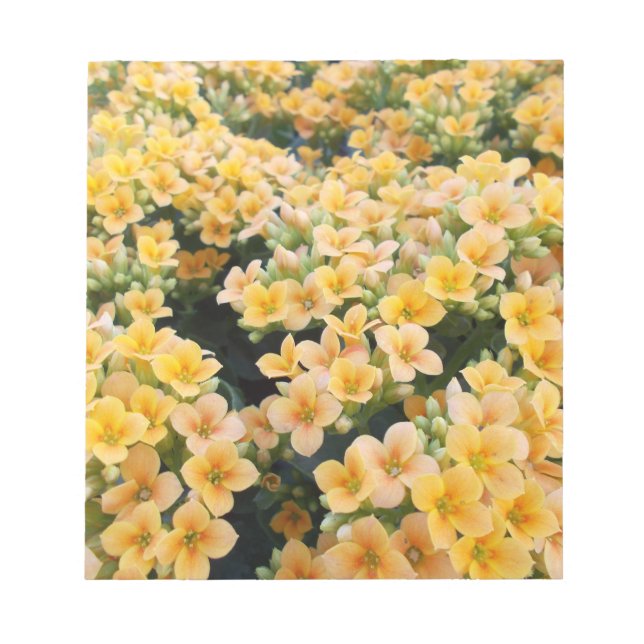 Yellow Flowers Notepad (Front)