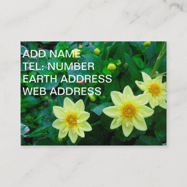 Yellow flowers with Green foliage Business Card (Front)