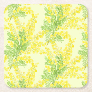 Yellow fluffy mimosa flower square paper coaster