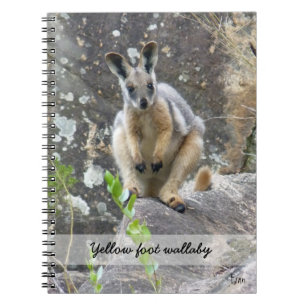 yellow foot wallaby notebook